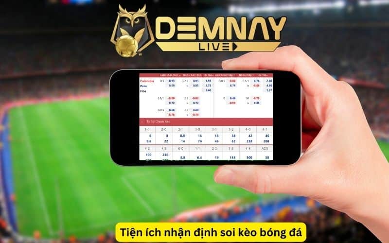 nhân định soi kèo bóng đá chuyên gia Demnaylive