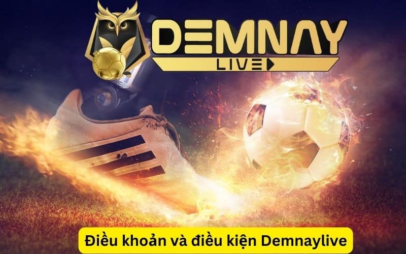 điều khoản và điều kiện Demnaylive