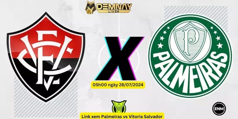 Link xem Palmeiras vs Vitoria Salvador